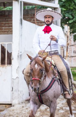 Uluslararası Mariachi ve Charros Festivali