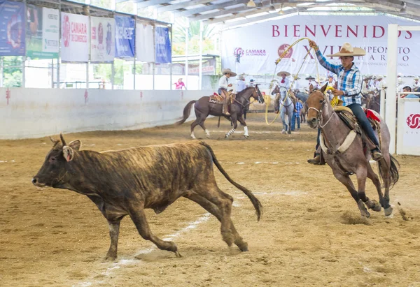 国际墨西哥流浪乐队 & Charros 节 — 图库照片