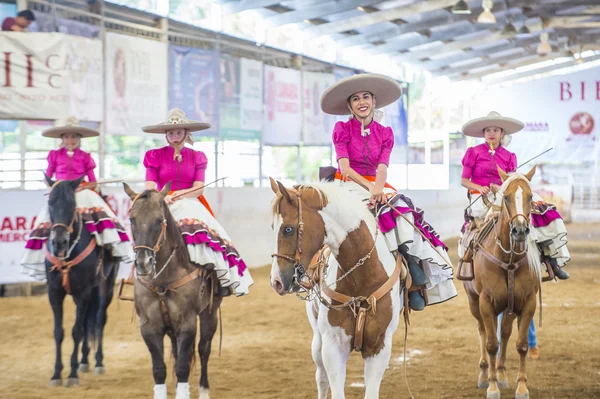 International Mariachi & Charros festival — Stock Photo, Image