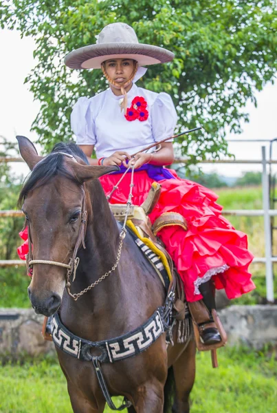 Festival Internacional Mariachi & Charros —  Fotos de Stock