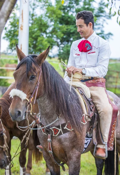 Festival Internacional Mariachi & Charros — Foto de Stock