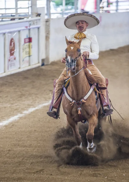 Uluslararası Mariachi ve Charros Festivali — Stok fotoğraf