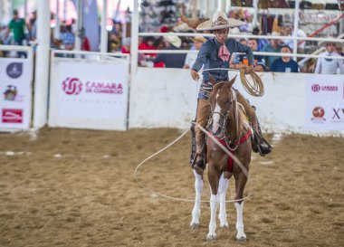 Uluslararası Mariachi ve Charros Festivali