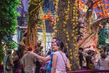 Bellagio Hotel Konservatuarı ve Botanik Bahçeleri