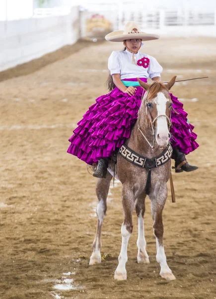 International Mariachi & Charros festival — Stock Photo, Image