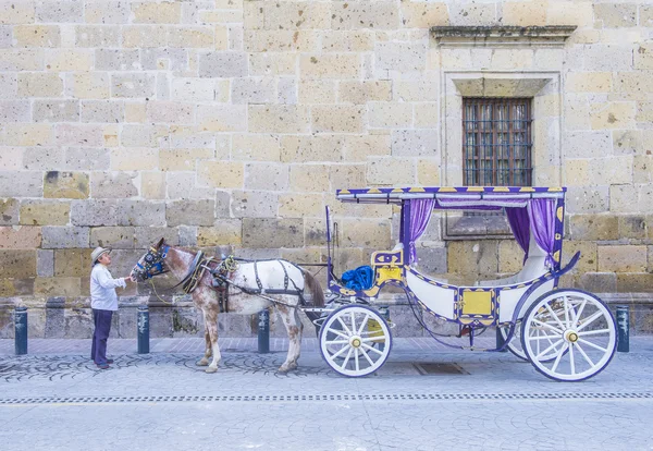 Vagão puxado a cavalo em Guadalajara — Fotografia de Stock