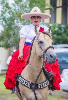 Uluslararası Mariachi ve Charros Festivali