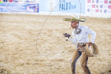 Uluslararası Mariachi ve Charros Festivali