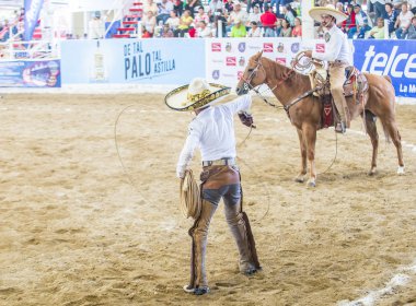Uluslararası Mariachi ve Charros Festivali
