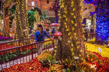 Bellagio Hotel Konservatuarı ve Botanik Bahçeleri