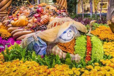 Bellagio Hotel Konservatuarı ve Botanik Bahçeleri