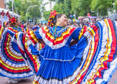 Uluslararası Mariachi ve Charros Festivali