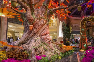 Bellagio Hotel Konservatuarı ve Botanik Bahçeleri