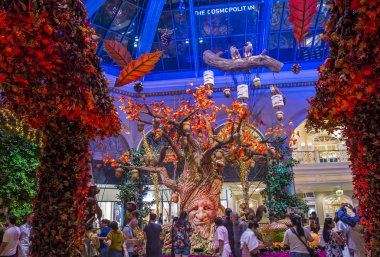 Bellagio Hotel Konservatuarı ve Botanik Bahçeleri