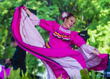 Uluslararası Mariachi ve Charros Festivali