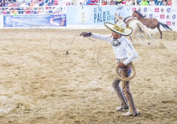 Uluslararası Mariachi ve Charros Festivali