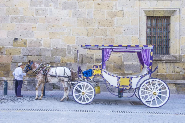 Horse drawn wagon in Guadalajara — Stock Photo, Image