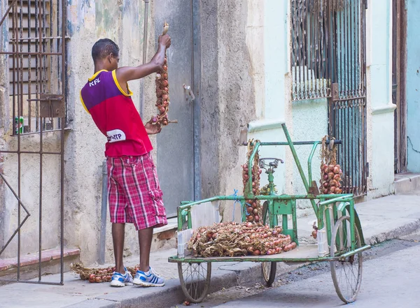 Um vendedor cubano de cebola — Fotografia de Stock