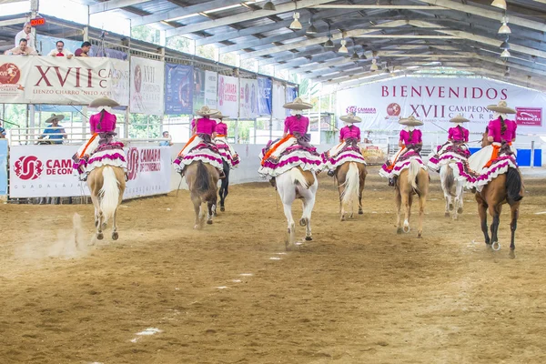 Uluslararası Mariachi ve Charros Festivali — Stok fotoğraf