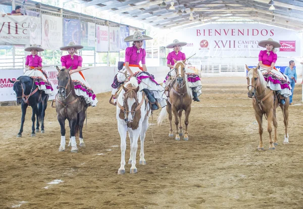 Festival Internacional Mariachi & Charros — Foto de Stock