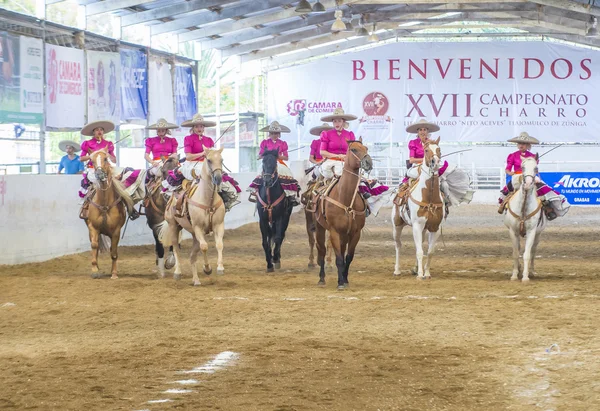 Festival internazionale Mariachi & Charros — Foto Stock