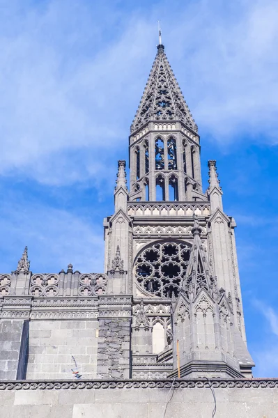 Guadalajara 'daki Parroquia De Nuestra Senora Del Rosario Kilisesi — Stok fotoğraf