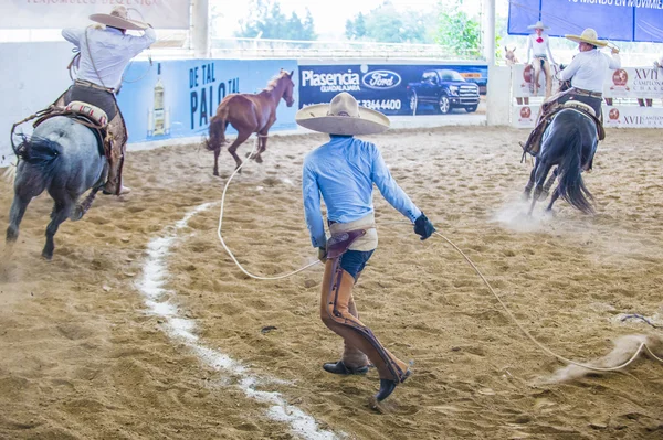 Internationales Mariachi & Charros Festival — Stockfoto