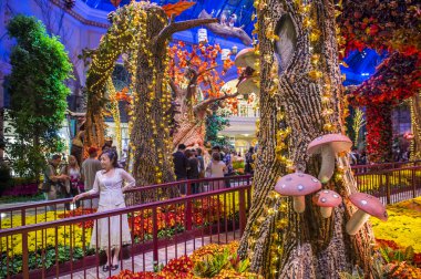 Bellagio Hotel Konservatuarı ve Botanik Bahçeleri