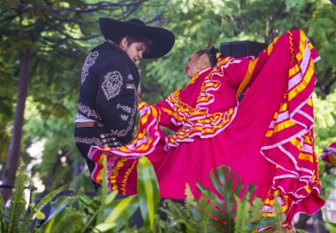 Uluslararası Mariachi ve Charros Festivali