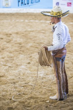 Uluslararası Mariachi ve Charros Festivali