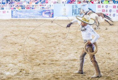 Uluslararası Mariachi ve Charros Festivali