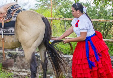 Uluslararası Mariachi ve Charros Festivali