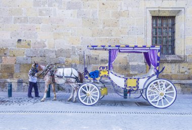 Guadalajara at çizilmiş vagon