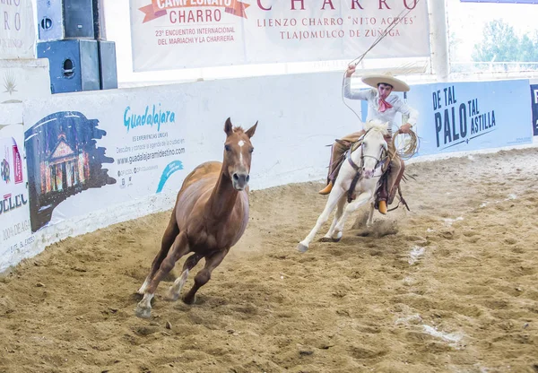Міжнародний Mariachi & Charros фестиваль — стокове фото