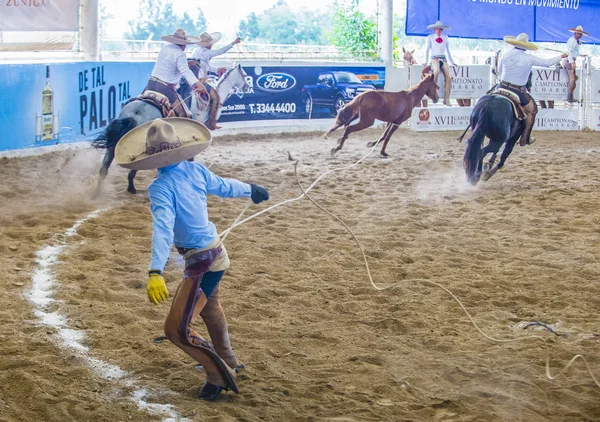 国際マリアッチ ・ Charros 祭 — ストック写真