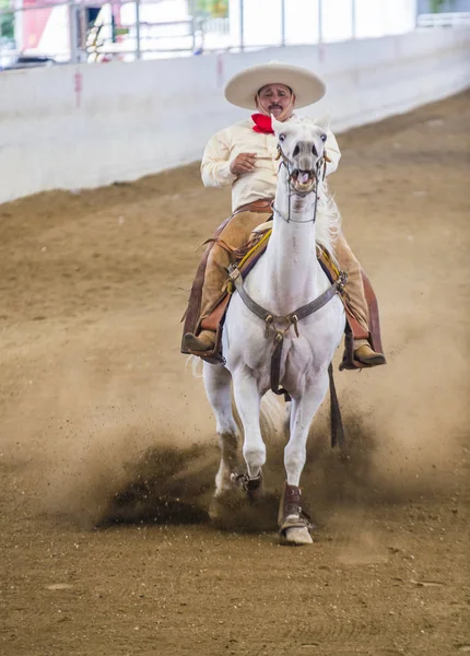 Festiwal międzynarodowy Mariachi & Charros — Zdjęcie stockowe