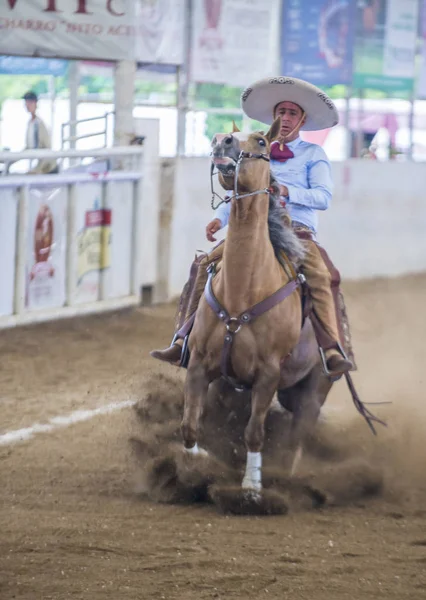 International Mariachi & Charros festival — Stockfoto