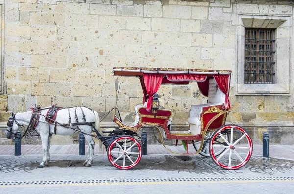 Häst dragna vagn i Guadalajara — Stockfoto