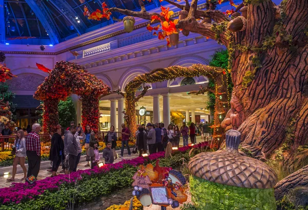 Bellagio Hotel Conservatory & Botanical Gardens — Stock Photo, Image