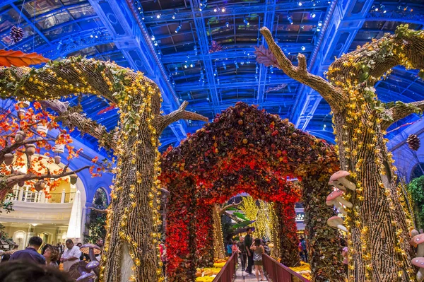 Bellagio Hotel Conservatorio y Jardines Botánicos — Foto de Stock