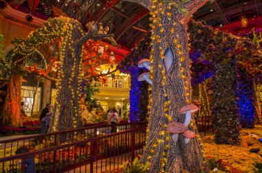 Bellagio Hotel Konservatuarı ve Botanik Bahçeleri