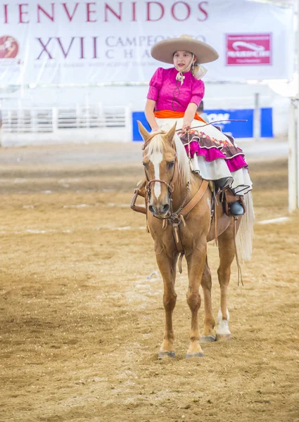 International Mariachi & Charros festival — Stockfoto