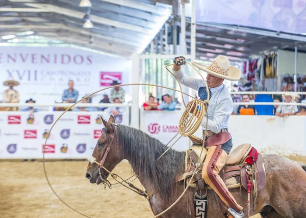 International Mariachi & Charros festival — Stockfoto