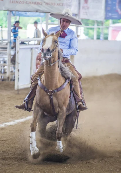 Uluslararası Mariachi ve Charros Festivali — Stok fotoğraf