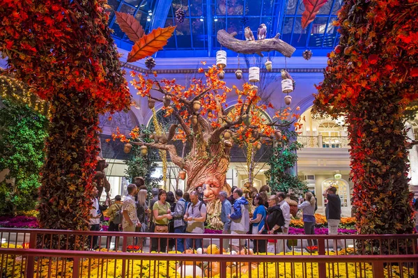 Bellagio Hotel Conservatory & Botanical Gardens — Stock Photo, Image