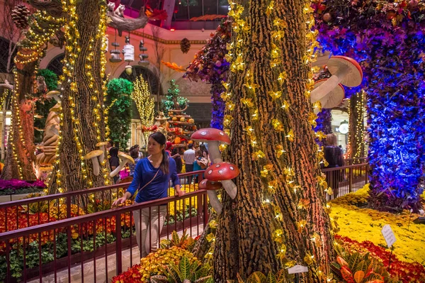 Bellagio Hotel Konservatuarı ve Botanik Bahçeleri