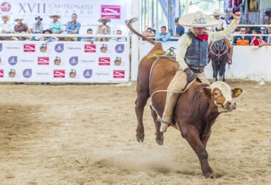 Uluslararası Mariachi ve Charros Festivali