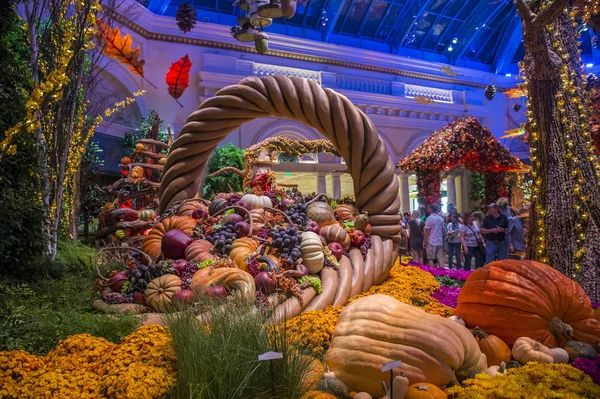 Bellagio Hotel Konservatuarı ve Botanik Bahçeleri — Stok fotoğraf