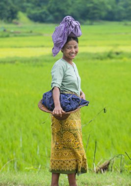 Bir pirinç alan, Birmanya çiftçi 