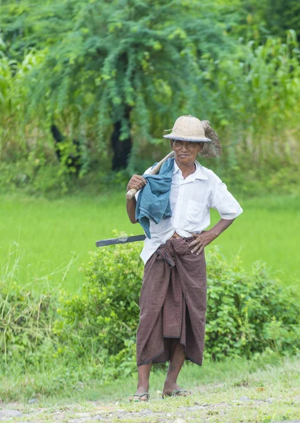 Myanmar Birmanya çiftçi — Stok fotoğraf
